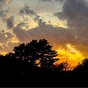 Meet your Posher, AMMO